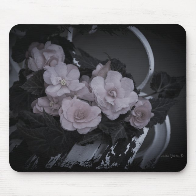 Mousepad Begonias Rosa Descansadas Em Banco De Dados (Frente)