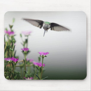 Mousepad Beija-flor