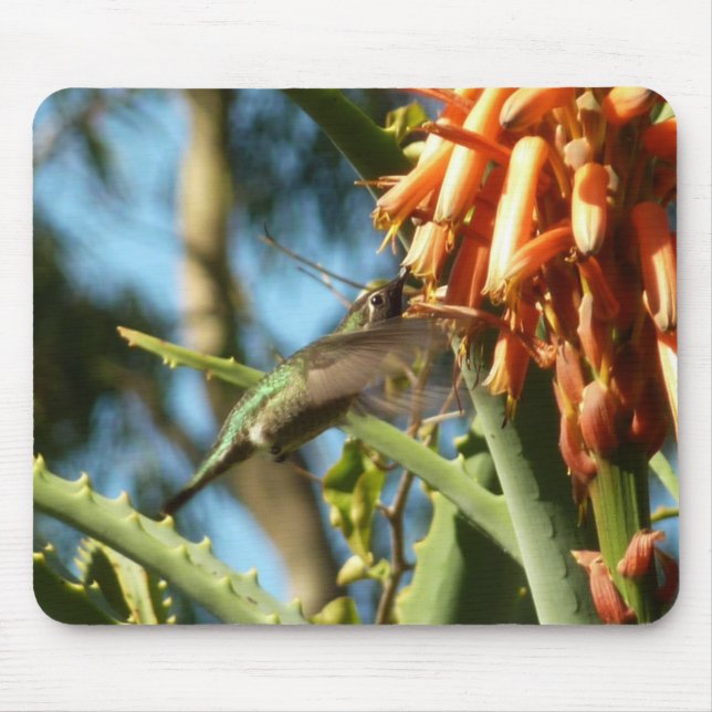 Mousepad Beija-flor-de-garganta-preta em Voo (Frente)