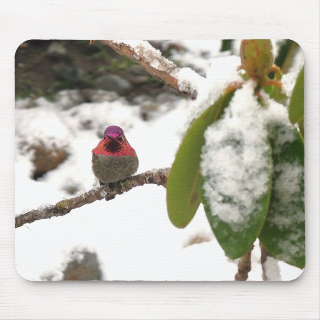 Mousepad Beija-flor no Inverno (Frente)