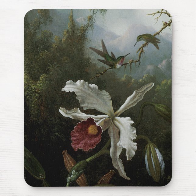 Mousepad Beija-flores e Orquídea Branca por Martin J. Heade (Frente)