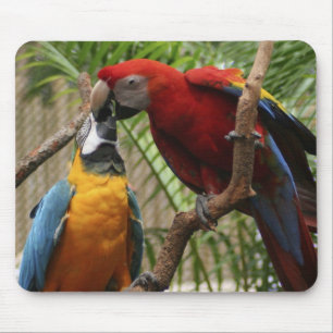 Mousepad Beijando Macaws