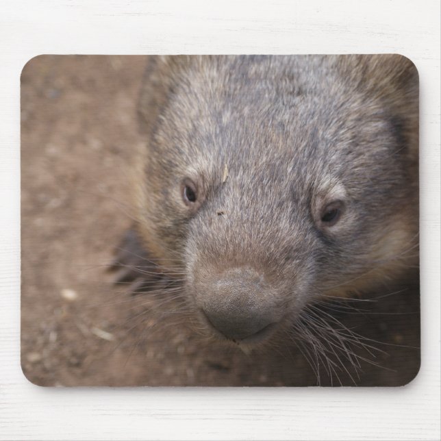 Mousepad Beijo de Wombat (Frente)