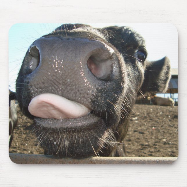 MOUSEPAD BEIJOS DO MOO (Frente)