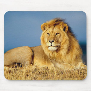 Mousepad Bela Almofada de Rato Leão