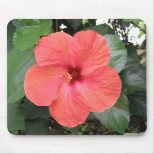 Mousepad Bela Boca de Flor Laranja Hibiscus