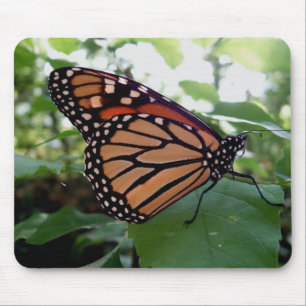 Mousepad Bela Borboleta