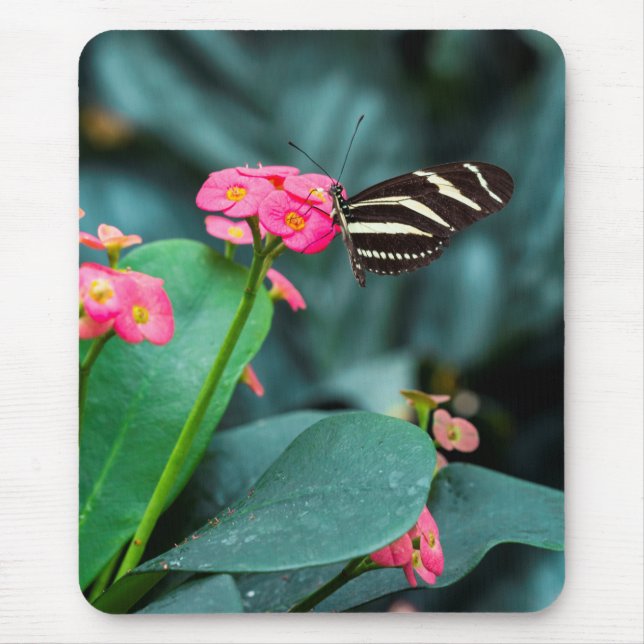 Mousepad Bela borboleta em uma flor rosa (Frente)