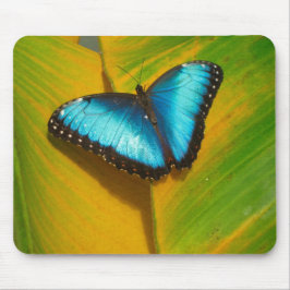 Mousepad Bela Borboleta Iridescente