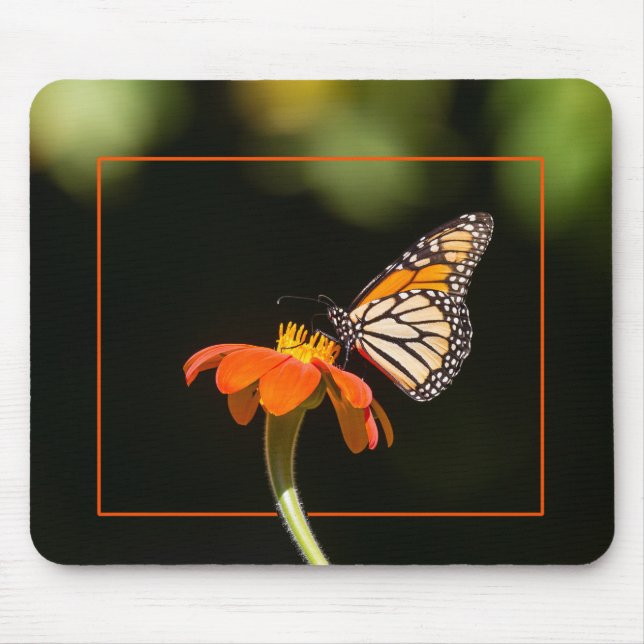 Mousepad Bela Borboleta Monarca (Frente)