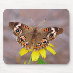 Mousepad Bela borboleta na Flor Amarela
