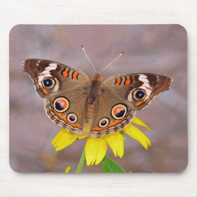Mousepad Bela borboleta na Flor Amarela (Frente)