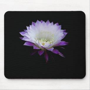 Mousepad Bela da bola, cacto noturno florescente