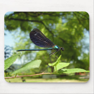 Mousepad Bela Demoiselle Mouse Mat