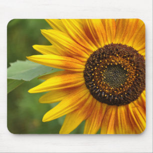 Mousepad Bela girassol