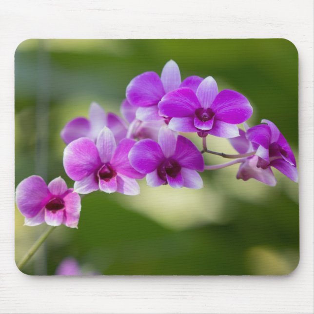 Mousepad Bela Orquídea Roxa (Frente)