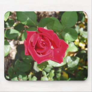 Mousepad Bela Rosa de Mouse