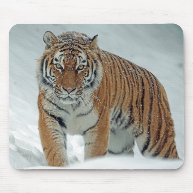Mousepad Bela Tigre na Neve (Frente)