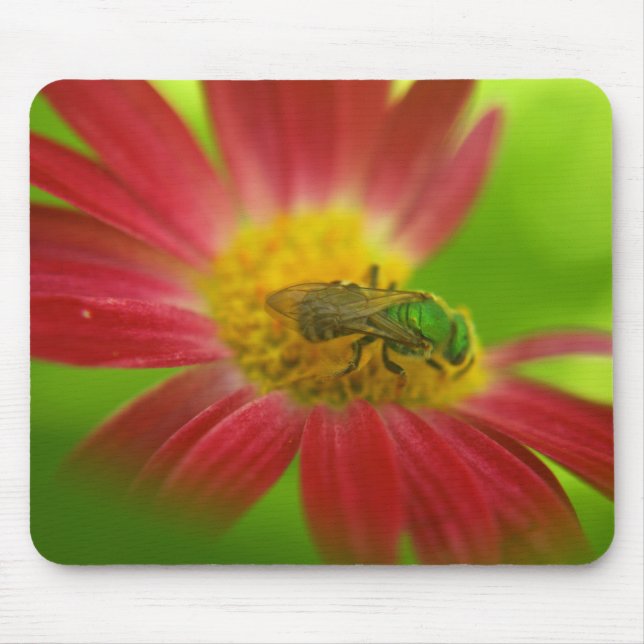 Mousepad Bela Verde e Pintada Mouse Daisy (Frente)