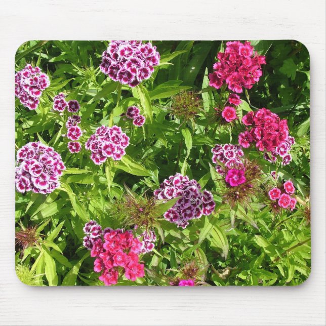 Mousepad belas flores coloridas, cravo (Frente)