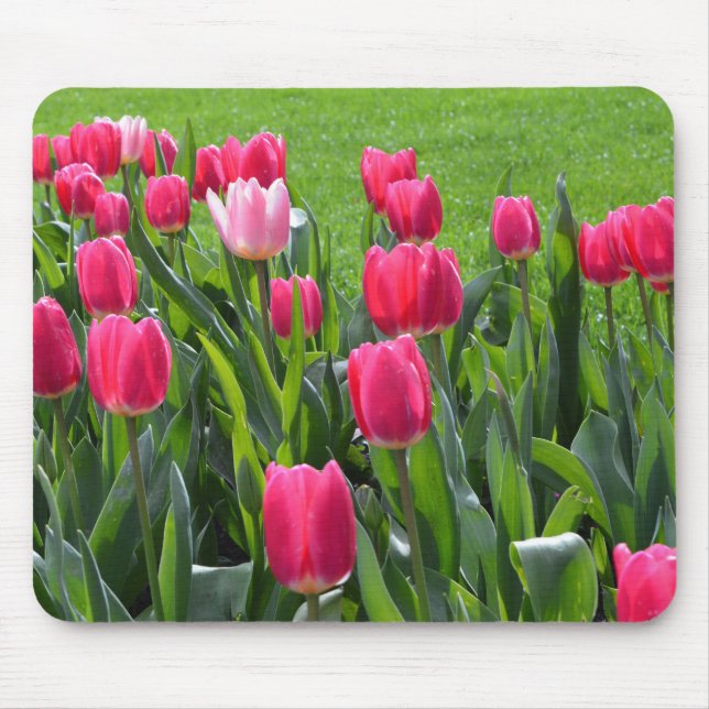 Mousepad Belas flores de tulipa rosa de primavera, folhas v (Frente)