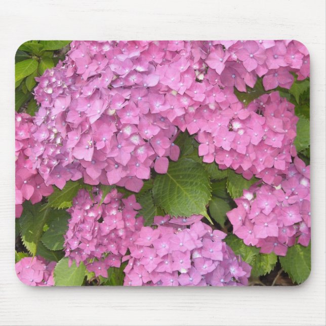 Mousepad Belas Hortênsias Rosa (Frente)