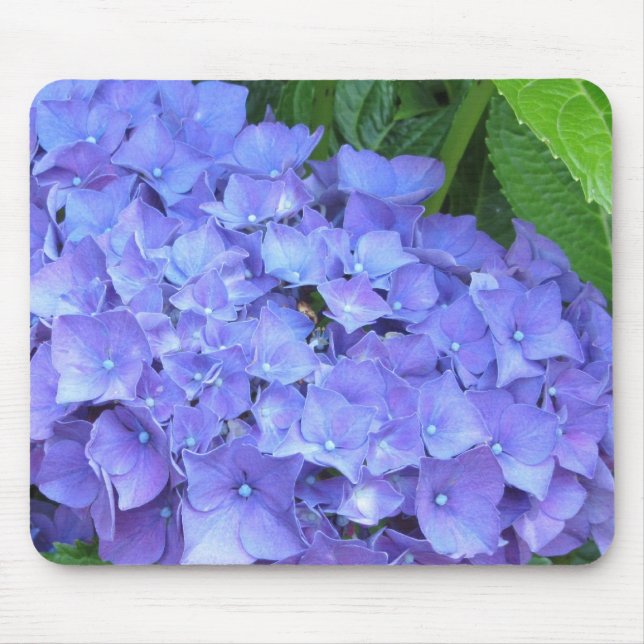 Mousepad Belas Hortênsias Roxas (Frente)