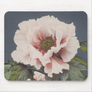 Mousepad Belas impressões fotomecânicas das Flores de Pen