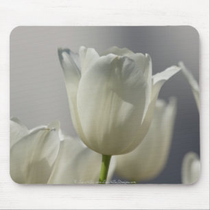 Mousepad Belas Tulipas Brancas de Primavera