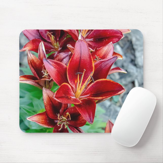 Mousepad Beleza Canadiana: Fotografia do Red Stargazer Lily (Com mouse)