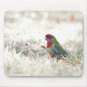 Mousepad Beleza carmesim