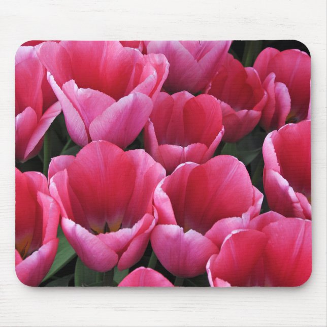 Mousepad Beleza das tulipas rosa (Frente)