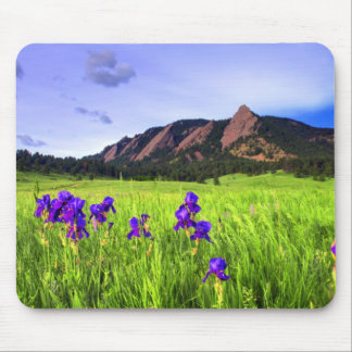 Mousepad Beleza de Flatiron