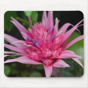 Mousepad Beleza Rosa