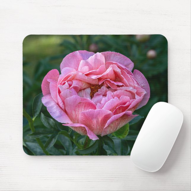 Mousepad Beleza Rosa: Captivando Fotografia Peony (Com mouse)