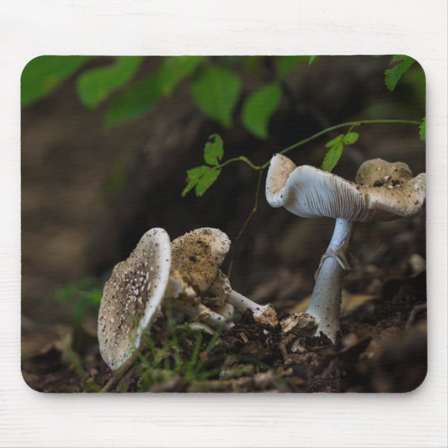 Mousepad Beleza venenosa (Frente)