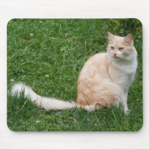 Mousepad Beleza Vermelha Clara