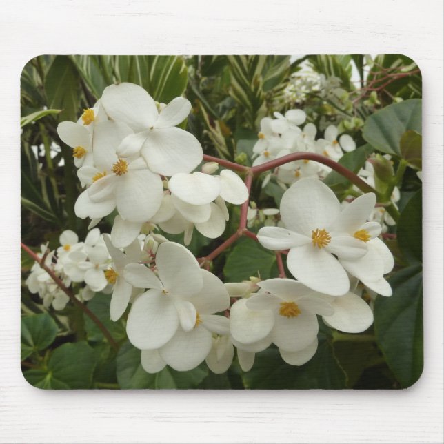Mousepad Belga Branca Tropical Floral (Frente)
