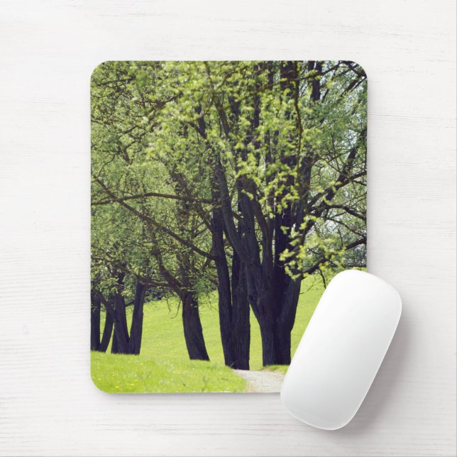 Mousepad Belíssimo Prado (Com mouse)