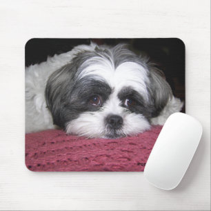 Mousepad Belle o Shih Tzu