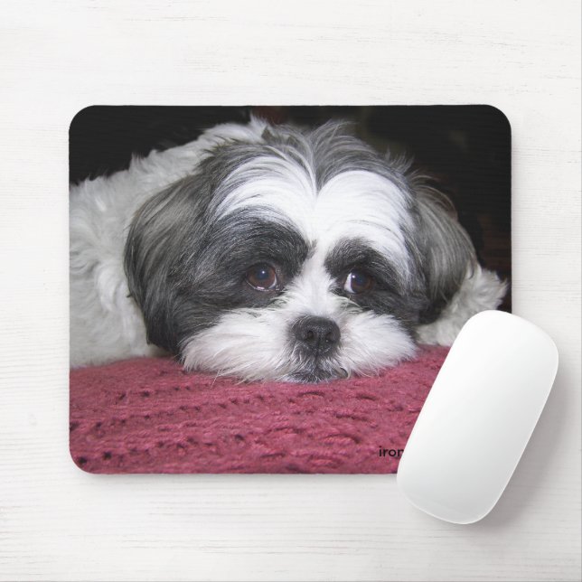 Mousepad Belle The Shih Tzu (Com mouse)