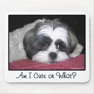Mousepad Belle The Shih Tzu Dog