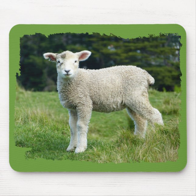 Mousepad Belo Bebê Cordeiro Lamb de Ovelha na Campina (Frente)