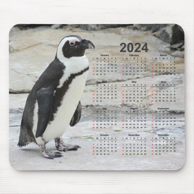 Mousepad Belo Calendário do Pinguim Branco e Negro 2024 (Frente)