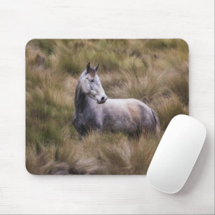 Mousepad Belo Cavalo Colorido de Cinzas