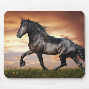 Mousepad Belo Cavalo Negro