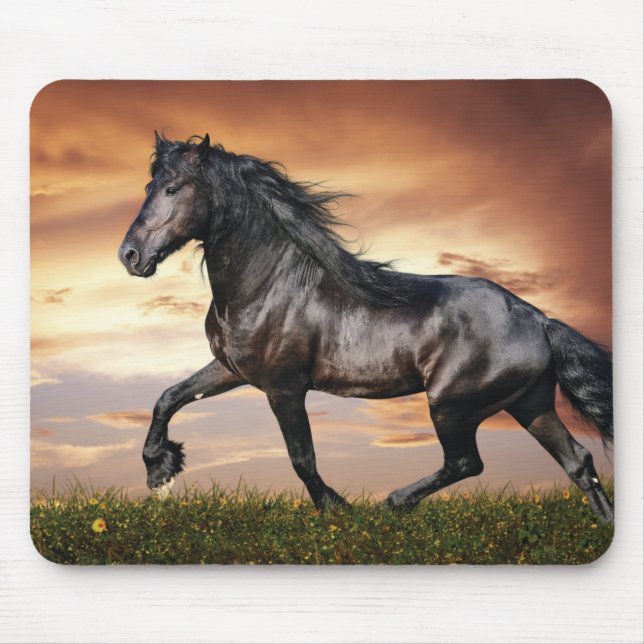 Mousepad Belo Cavalo Negro (Frente)