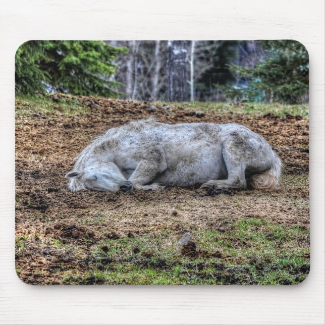 Mousepad Belo Cavalo Sleeping White Mare Ranch (Frente)