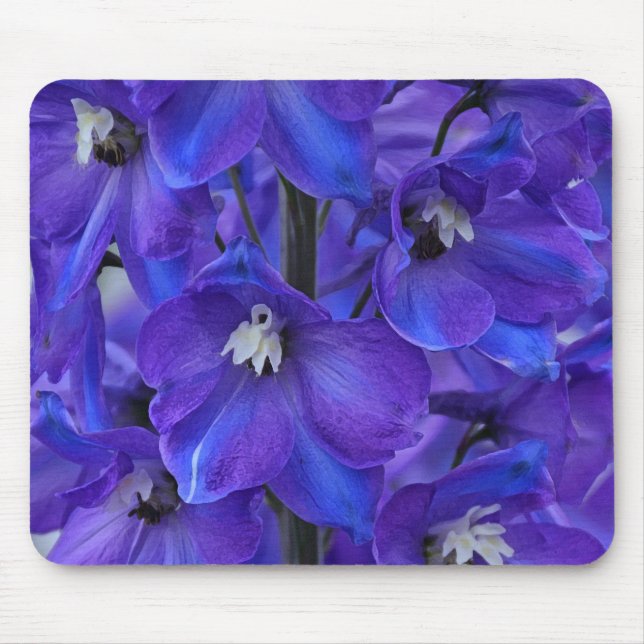 Mousepad Belo delfinio azul (Frente)