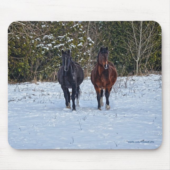 Mousepad Belo Design de Equino Animal do amante dos cavalos (Frente)